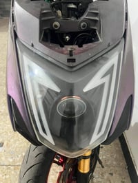 سكنس • غراض • الحرية