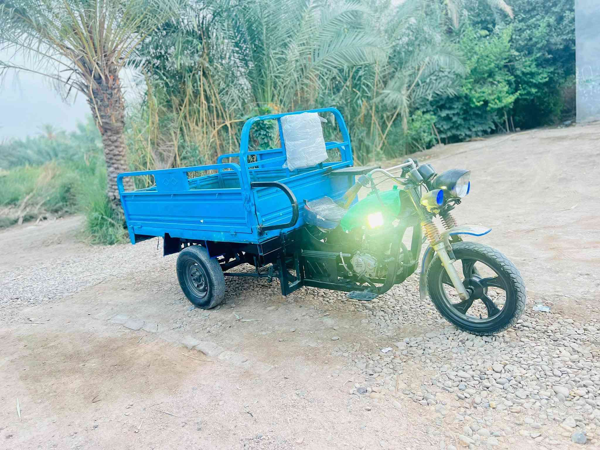 ستوته صقر • ٢٠١٣ • اوراق اصولي
