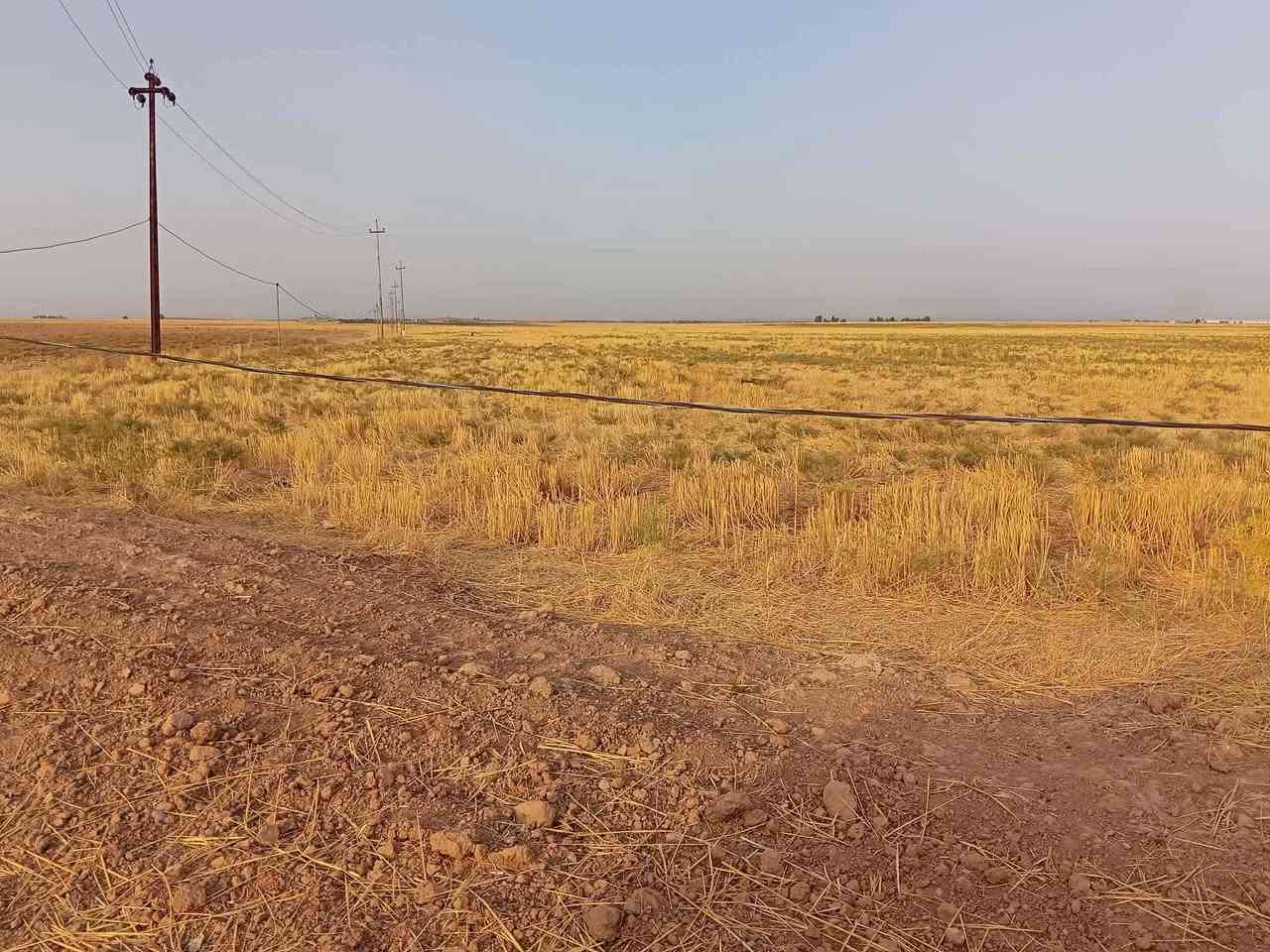 سلام عليكم حبايبي يوجد لدينا قطع ارض مساحتها 5دونم وكل دونم يطلع 2500 متر وصاحب دونم يبيعه كامل 5دونم فد مره والسعر 60مليون وبي مجال للشراي فقط ولباقي تفاصيل تفضل ع خاص او اتصل ع رقم التالي ***********

هذا صور وفيديو لل دونم 

كروب عقارات كركوك 
@إشارة 
كروب عقارات مكتب الرحمن فيصل العقارات 
كروب عقارات كركوك 
كروب عقارات كركوك العام 
كركوك للجميع 
كركوك مدينتي 
كركوك مدينة الجميع
