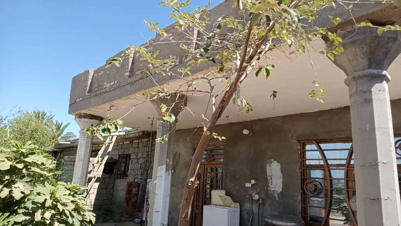 بستان • ٦ دونم ٦٠٠م • سند ٢٥ باسمي