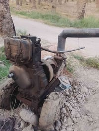 ماطور هندي • ابو 4 • ١٣م