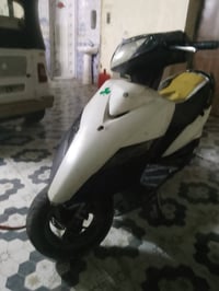 ثعلب • معدل • كلجات رياضي