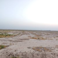 بابل • الحمزة الغربي • ٦٤ دونم