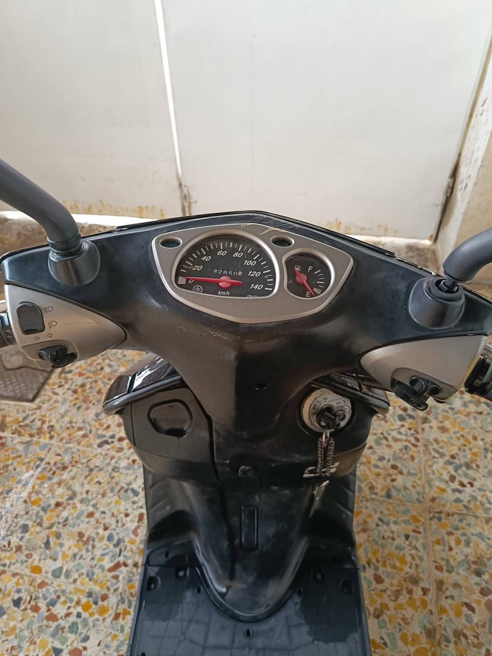 سكنس نثية • مكفولة • كهربايات شغالة