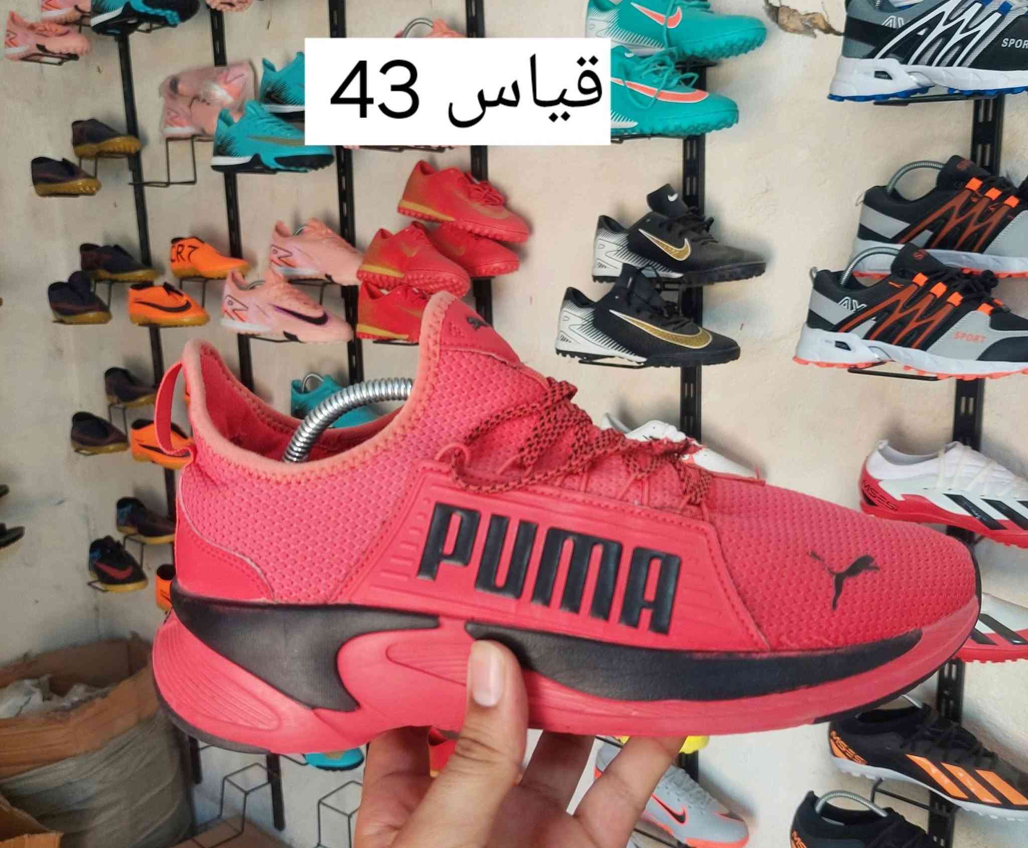 احذيه باله درجه اولى
سعر القطعه 10
واتساب ***********

نص مكتوب في الصور:
- قياس 39.5
- قياس 41
- قياس 40
- قياس 43
- قياس 42
- قياس 39
- قياس 38
- قیاس 40