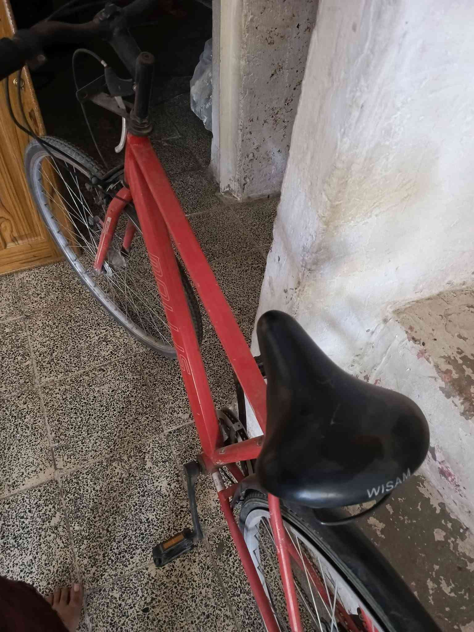 سلام عليكم ميز مكتب او ميز دراسة للبيع جديد كلشي ما بي وبايسكل  جديد وعندي كنتور خشب اربع بيبان الله شاهد كلشي ما بي لو ما مفتوح اصورة بس لان انتقلت لغير بيت والبيت صغير واريد ابيعهن الميز

 ***********
