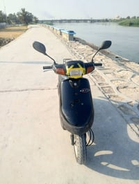 بطة • فحل • كفاله