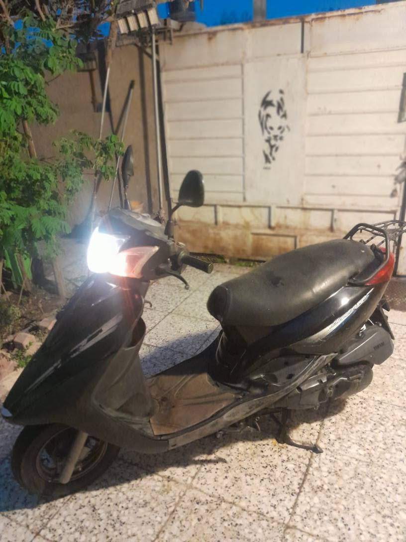 بغبغاء • ياباني • ٢١ الف