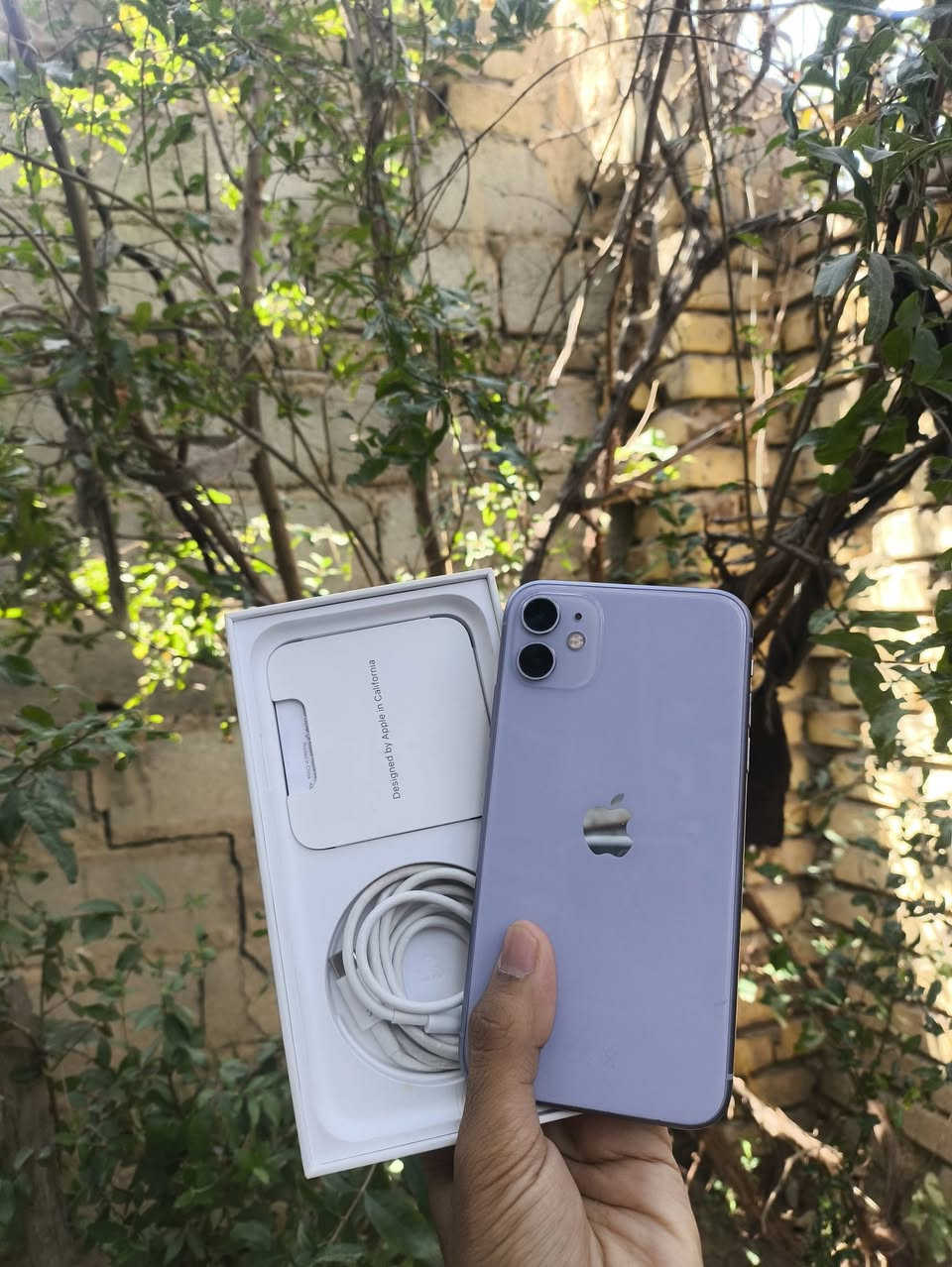 ايفون 11📱
شرط كارتون مطابق ونضافه 100🔥

ذاكره عملاقه 128🌀

بطاريه 74بلادي 🔋

ما مفتوح برغي✅

ملحقات (كارتونه مالته الاصليه وكيبل شحن)

شرق أوسط 🔥🙂‍↕️

اتصل وتساب او خاص على سعر✨
 (***********)📞
