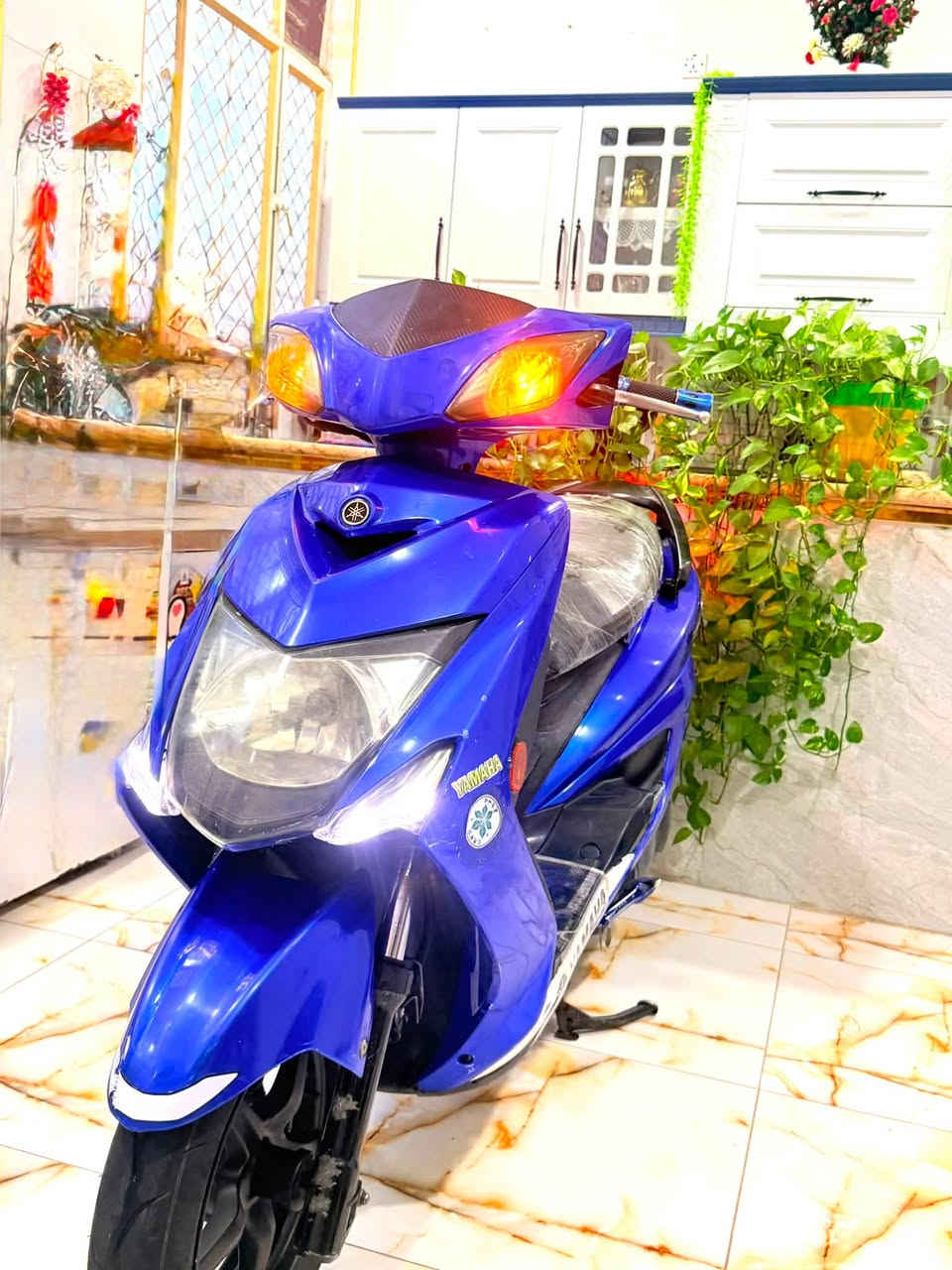 سكنس • ياباني • جديده