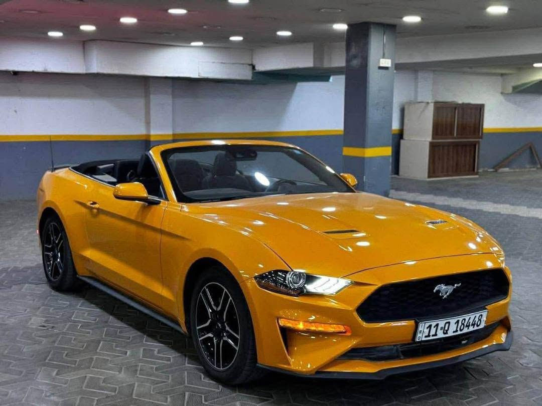 صيغة الإعلان الكاملة للبيع (جاهزة للنسخ والنشر):
فورد موستنج كشف (Mustang Convertible) موديل 2022

​المحرك: 4 سلندر 2.3L EcoBoost

​اللون: أصفر كشف (سقف أسود)

​رقم الشاصي

​رقم السيارة: بغداد

​تفاصيل البودي والحادث (حسب فحص تقرير المندلاوي):

​جاملغ أمامي أيسر (مفتوح + صبغ + رصعة نكمة داخلية يسار)

​جاملغ أمامي أيمن (مفتوح + صبغ)

​باب الصدر (صبغ)

​سنيد (مفتوح + صبغ)

​دعامية أمامية (صبغ)

​الشاصي واللغود بشرط الفحص، وتوجد شحوط ورصعات متفرقة بسيطة.

​السعر المطلوب: 180$ - قابل للتفاوض البسيط

مكان سياره ديوانيه مركز
***********
