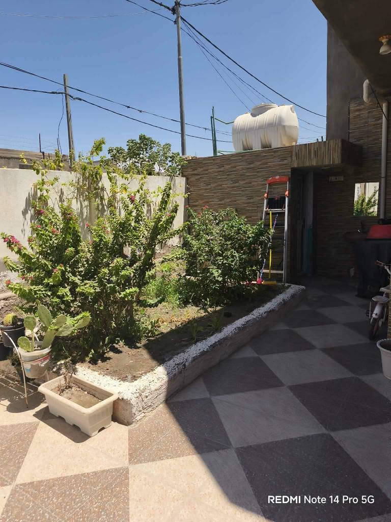 للبيع بيت زراعي كونكريت مسلح مشمول بقرار التطويب ومعاملة كاملة بالبلدية،  تأريخ البناء 2019

المساحة 200 واجهة 10  نزال 20
البيت يتكون من:
استقبال 6*4
صالة 4*8
غرف عدد 2 /  5*4
مطبخ حار + بارد
حمام + صحيات عدد 2 داخلي وخارجي 
كراج سيارة + حديقة  6* 10
بالإضافة إلى كاونتر + غرفة نوم خشب حديثة + معرض + ثلاجة 

العنوان التقية 3 مقابل ساحة التوديع (حسينية باب الحوائج) شارع الملعب الخماسي أول شارع على اليسار بظهر الجملونات بالضبط تبليط واصل للباب 

السعر 100 مليون وبي مجال 
للاستفسار  *********** ديوانية, القادسية
