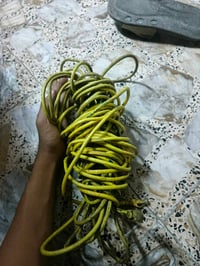 كيبل نت • جودة عالية • ٧٠م