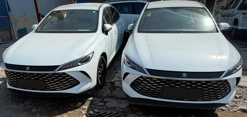 السلام عليكم
متوفر   BYD QIN PLUS 2025 🚘
داخل زيتوني
مرقم بغداد جاهز  تحويل ثاني يوم 
صفر كيلو متر 
السعر 20 مليون 700 وبيها مجال للاستفسار الاتصال
***********
