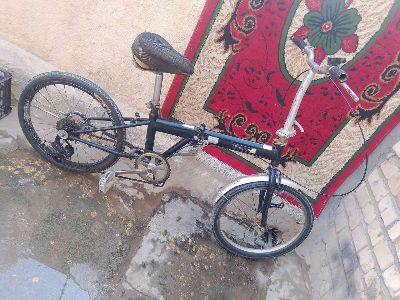 ياباني • اطفال • مقاس ٢٥