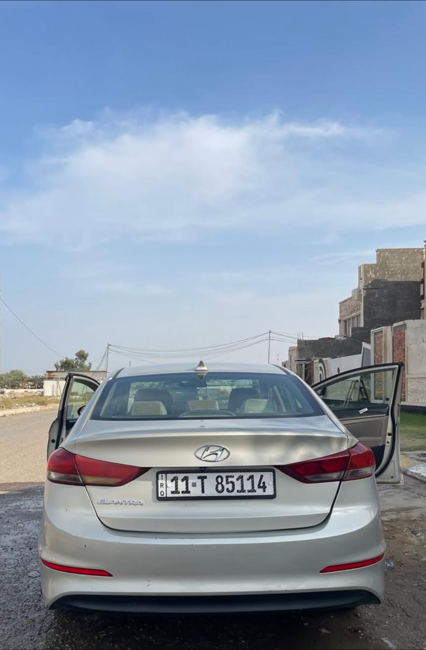 النترا • ٢٠١٧ • وارد امريكي