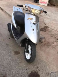 عصفورية • سبايزر • مجنح