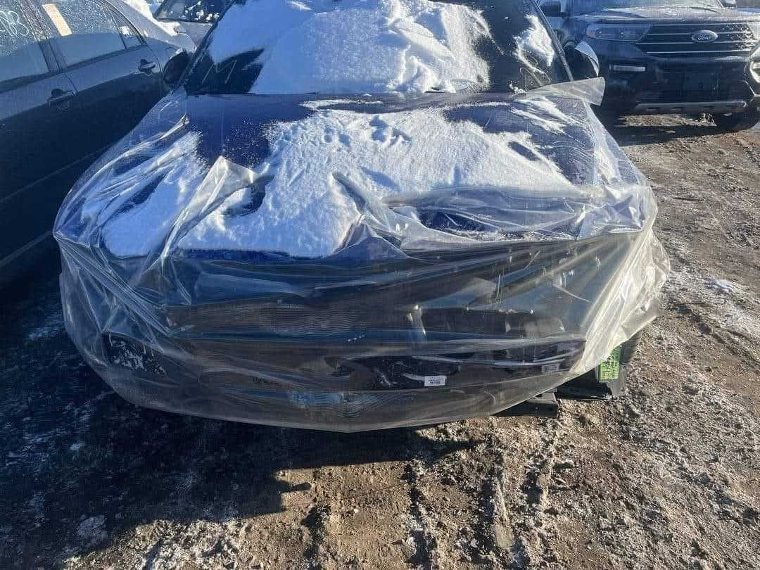 سلام عليكم النترا N  23 رياظي وفول للاخير بيع او مراوس بسياره اقل من سعرها حره بدون رقم تترقم جميع المحافظات عدا الاقليم شعندك مراوس تعال خاص
***********
130وبيها مجال والجاني الN يعرف قيمتها

نص مكتوب في الصور:
- BidCars