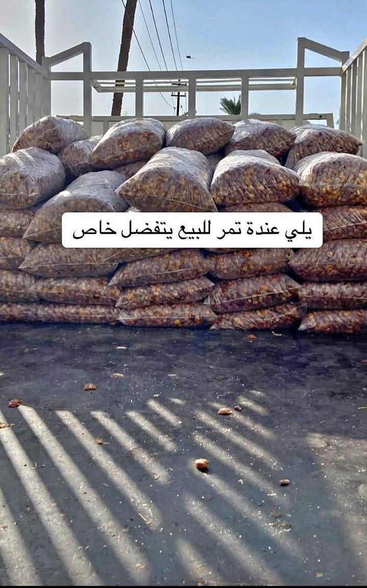 تمر للبيع • خاص