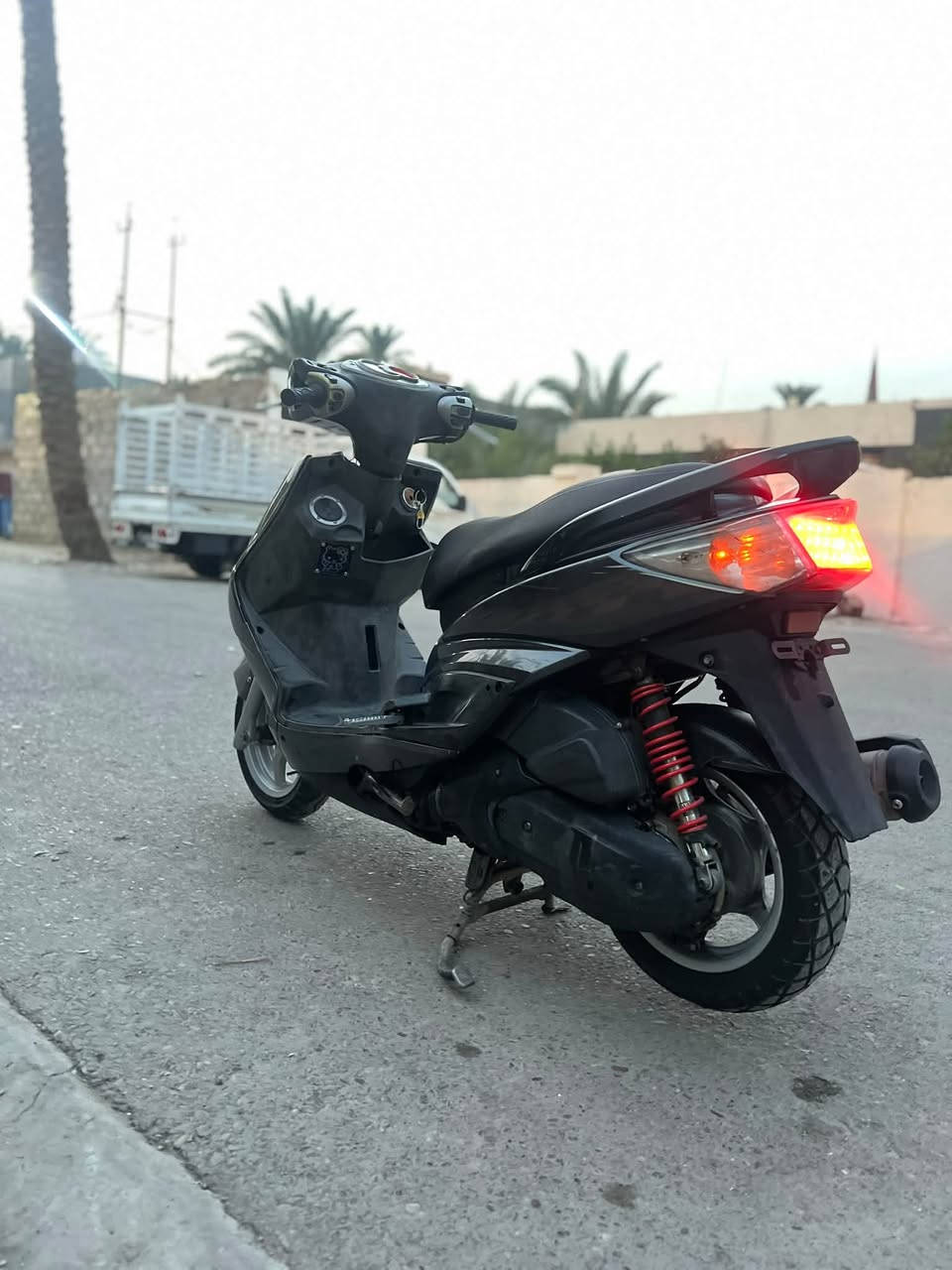سكنس فحل • ٦٣ الف • مامفتوحة