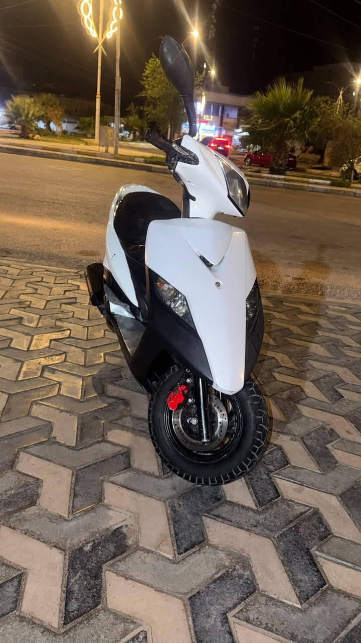 ثعلب • ١٤٠ • ناصريه