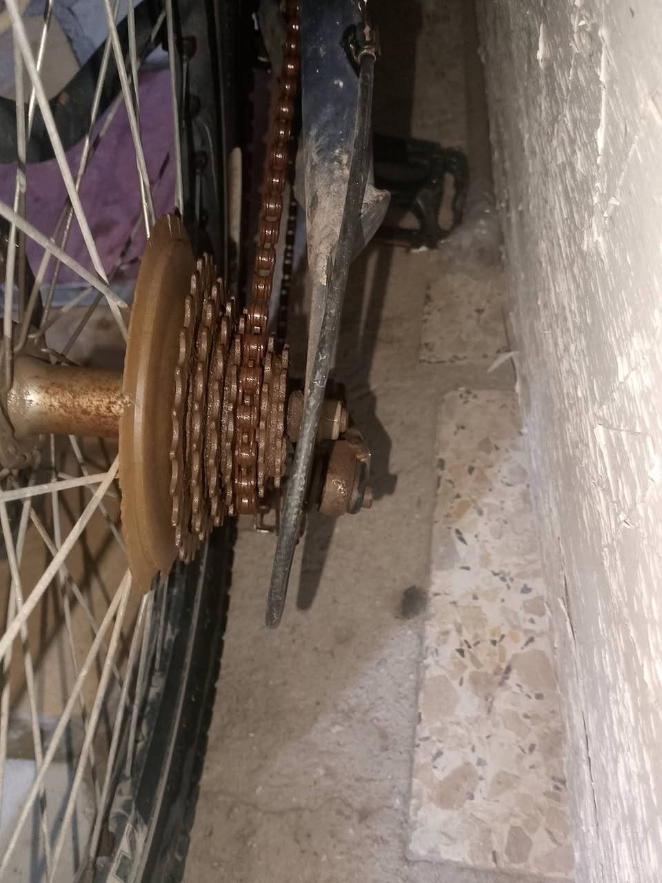 السلام عليكم ورحمه الله وبركاته بايسكل قطعة نضيف ملاحظات ⁦^⁠_⁠^⁩ ... البايسكل يحتاج تأير وجوب .... سعر 55 وبي مجال حك الجية الإتصال على الرقم ***********
