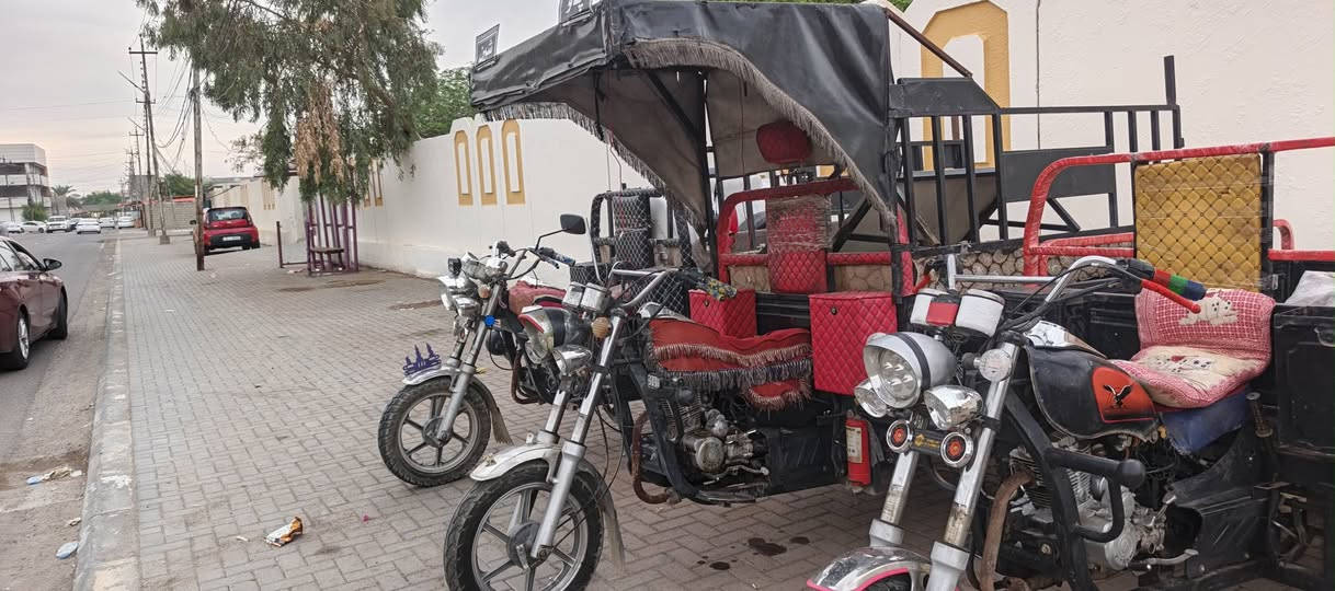 السلام عليكم 3 ستوتات للبيع فحل عالي قلاب ماكني تكريت السعر *********** ***********
