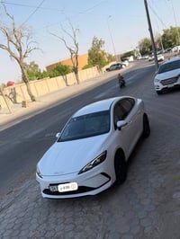 سيل ٥ • ٢٠٢٥ • رقم بصره