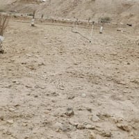 حي البكر الريس • ٦٠٠م • وجه ١٩ ونص