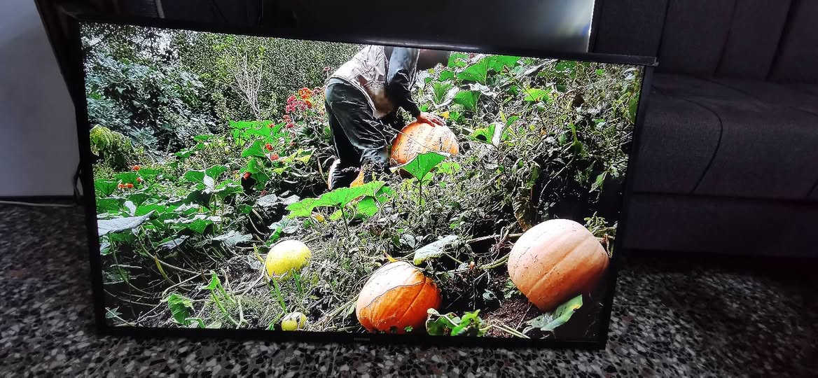 سامسونك • ٤٣ انش • ستلايت داخلي