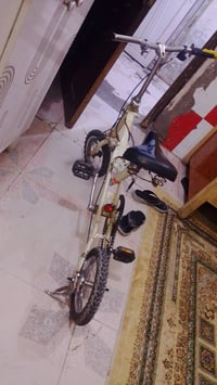 بسكليت • بنجر قدام