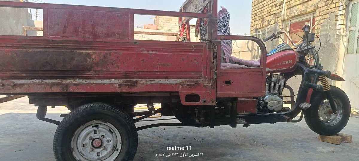 ستوته • صلطان • بدون أوراق