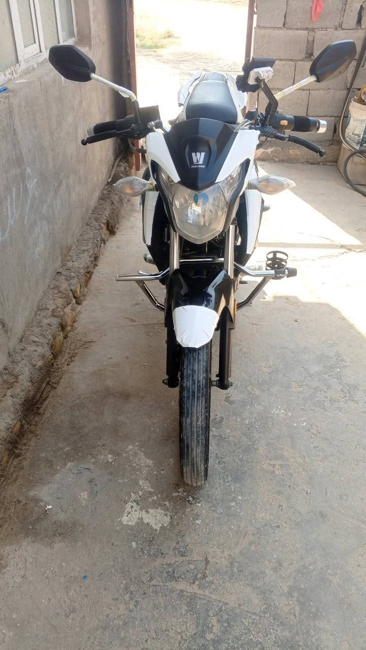هاوجي • موديل ١٦ • مسجل باسمي