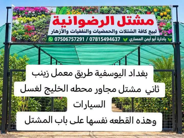 مشتل الرضوانية • بيع جملة • شتول ونباتات