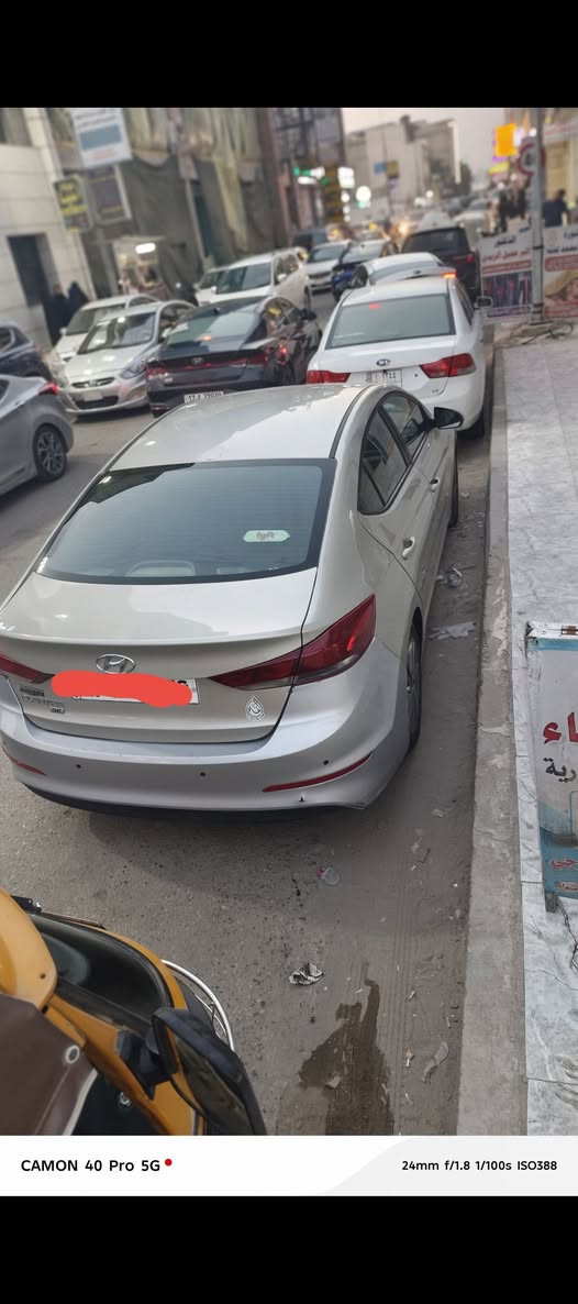 وارد امريكي • ٢٠١٨ • بدون صبغ