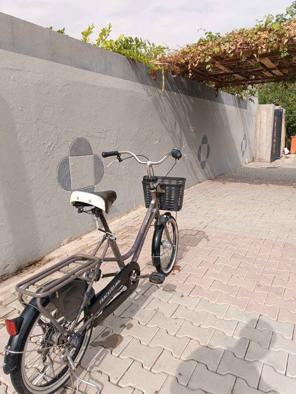 ياباني اصلي • موديل 2022 • طوز خرماتو
