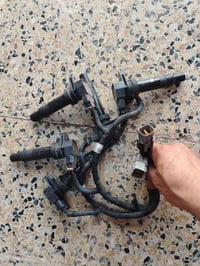 شعب • تفصيخ • رخصة الادمن