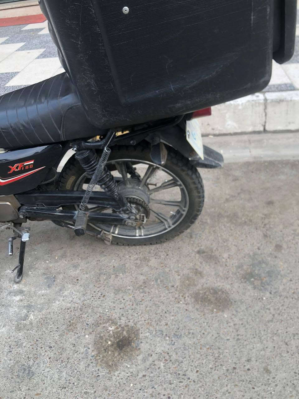 شاينك • سكنر • بدون كمرك