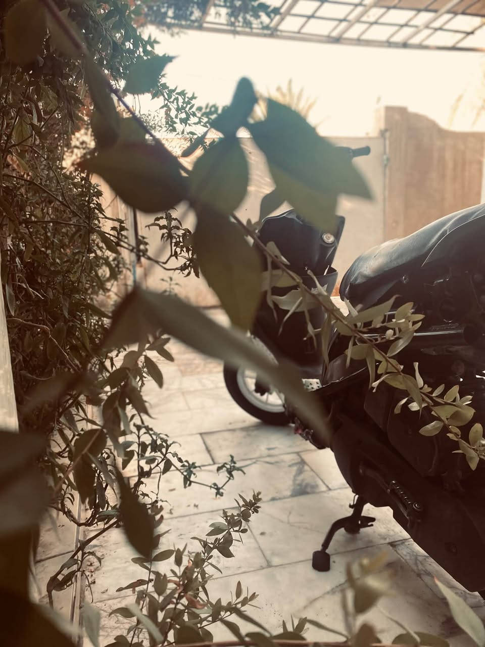مـا شـاء الله🤍✨
سلام عليكم 🙋🏻‍♂️،دراجة ماكس عدله للبيع ✔️🤍
الدراجه مرتبه حلوه شلعه ومعدل وكشرها حلو 🤍
الدراجة غراضه موجوده من كهربائيات وكفر وسوادات 🖤✨✔️،
الدراجه ميكنتها 55 سمارت 🔥❤️‍🩹
وبيهه كلج wfرياضي أمامي 🔥
وكلج خلفي رياضي 🔥
الدراجه مسويلها ادامه جديدة 🤍🔥
مـرتبة على اخـر حباية ❤️‍🩹🔥
الـسعر :450وبيها مجال قليل حك الجيه 🤍✨
للاستفسار: خاص او *********** واتساب و رصيد 🤍🔥❤️‍🩹
