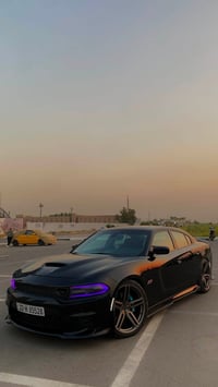 سكات باك • ٢٠٢١ • رقم اربيل