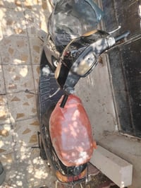 ذبانة • نضيفة • بدها كابريتة