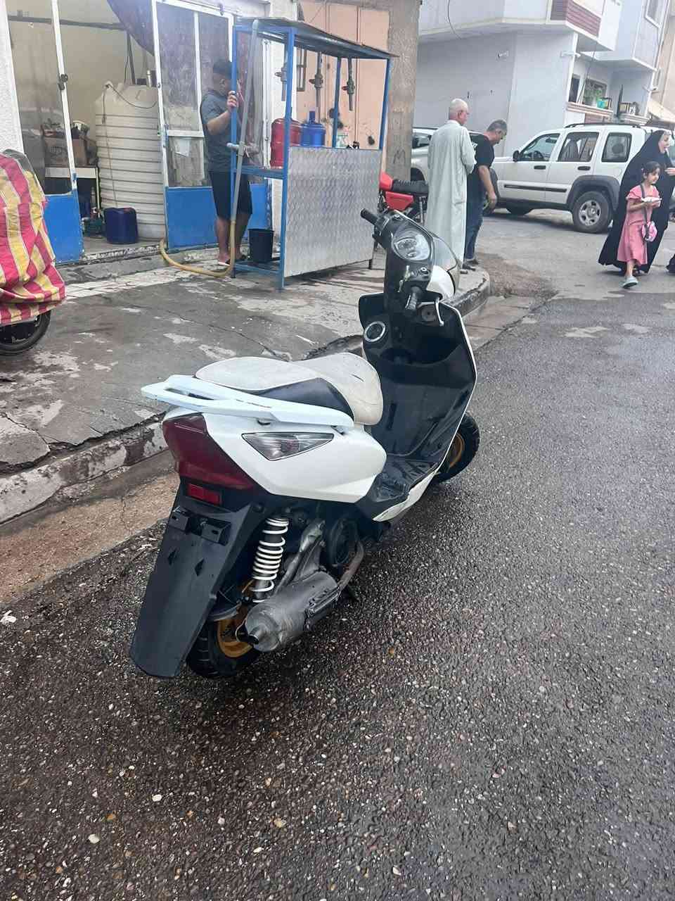ثعلب • مخدم • زنون