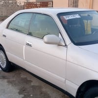 بطة • مكفولة صبغ • رقم بصره