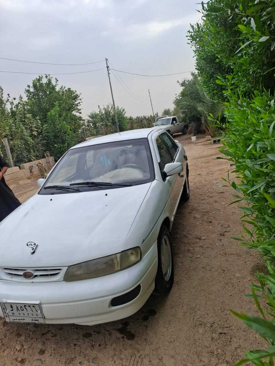 سيفيه ٩٥ • مكفولة • ناحية يثرب