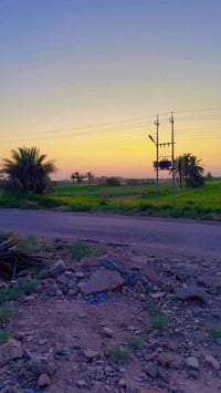 للبيع نص دونم على الشارع الرئيسي مال منطقة الشيخ عامر واجهه النص دونم ...