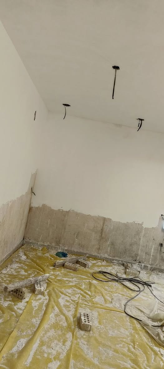 لبخ سمنت وجص وبورك***********
نبات بنفس الموقع

