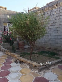 ناصريه سبل ثانيه • ٣٠٠م • وصل طابو