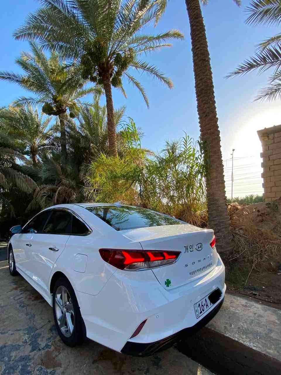 سوناتا SONATA) 2023) وارد كوري 🇰🇷
(غاز السيارة )

( السيارة كفاله ما عدا صبغ نصف جاملغ خلفي)

———————————————

🔰المواصفات(اعلى فئة بالغاز)

📍مكان السياره ديوانية

1-رادار أمامي 

2-نقط عمياء بالمري

3-حساسات خلفي

4-تدفئة كشن2🔥

5-تبريد كشن السايق❄️

6-تدفئة ستيرن🔥

7-دخول ذكي(بصمة)

8-تبريد قطعتين

9-بكلايت لد بلاد

10-اوتو هولد 

11-هاند بريك كهرباء

12-كامره خلفيه شغاله اثناء القياده حسب الرغبه

13-كشن كهرباء

14-تحديد مسار

15-شاشه كبيره

16-تحكم التبريد (شاشه)

17-كروس مثبت سرعه

18- مري شفط +اشاره بالمري 

19-دمام خلفلي(مضخم)

20-مراية الوسطية ناطقة

(وبعد بيه هواي مواصفات ) 

السعر:185بيه مجال

———————————————

تخم تاير جديد صار 3اشهر من شادة

☎️***********
