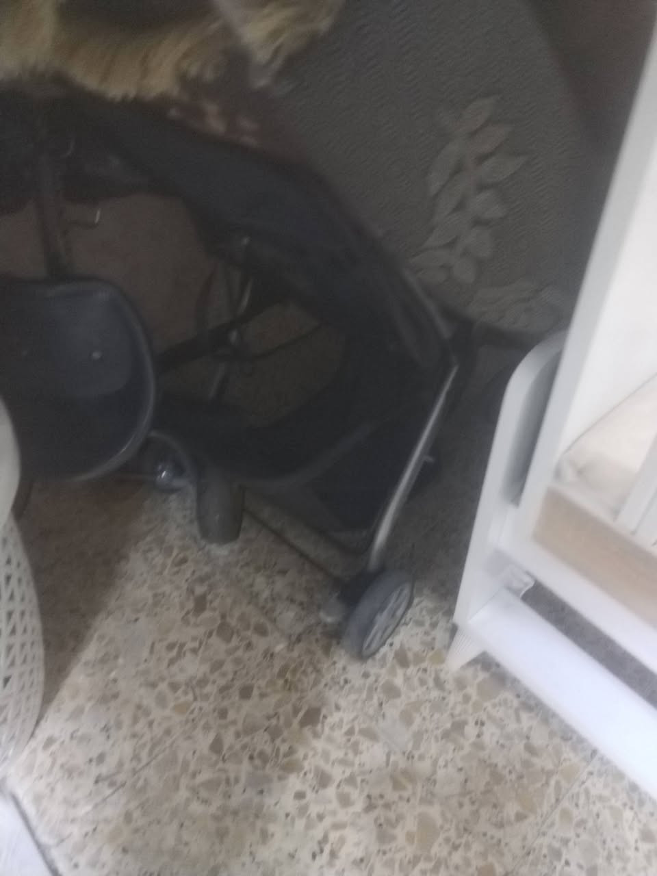 سلام عليكم ورحمة جربايه وعربانه طفل للبيع الجربايه ما مستخدمه شهر واحد والعربانه مستخدمه ما عندي توصيل مكاني بغداد الدوره رقمي ***********
سعرهن ثنينهم 110
