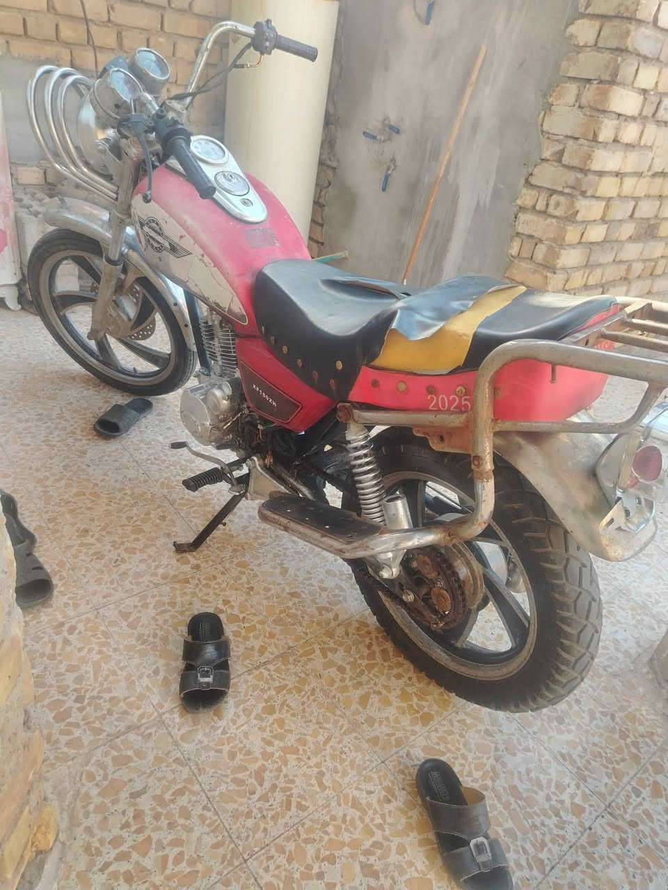 جونده • اوراق • اصوليه